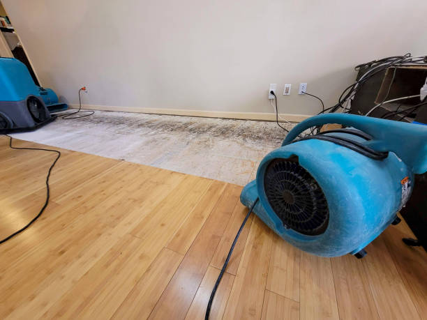Professional Structural Drying technician working in New Hill, NC
